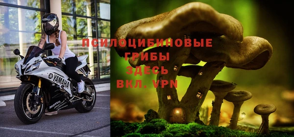 2c-b Волосово