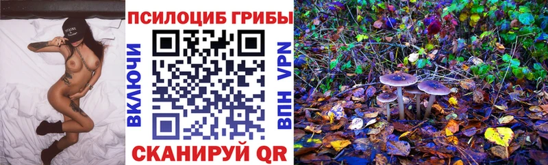 Псилоцибиновые грибы мицелий  OMG ТОР  Вытегра 
